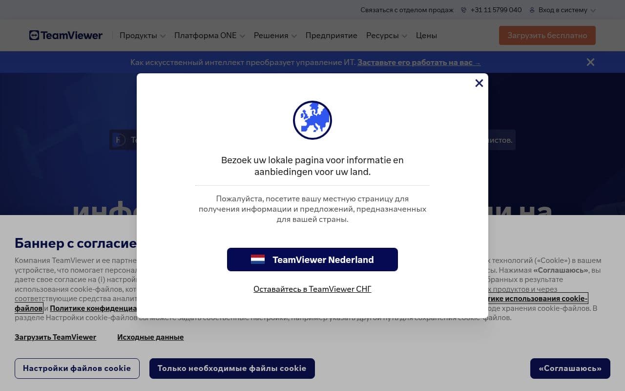 Скриншот интерфейса TeamViewer