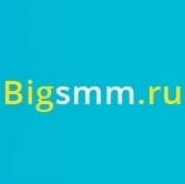 Скриншот интерфейса BigSMM