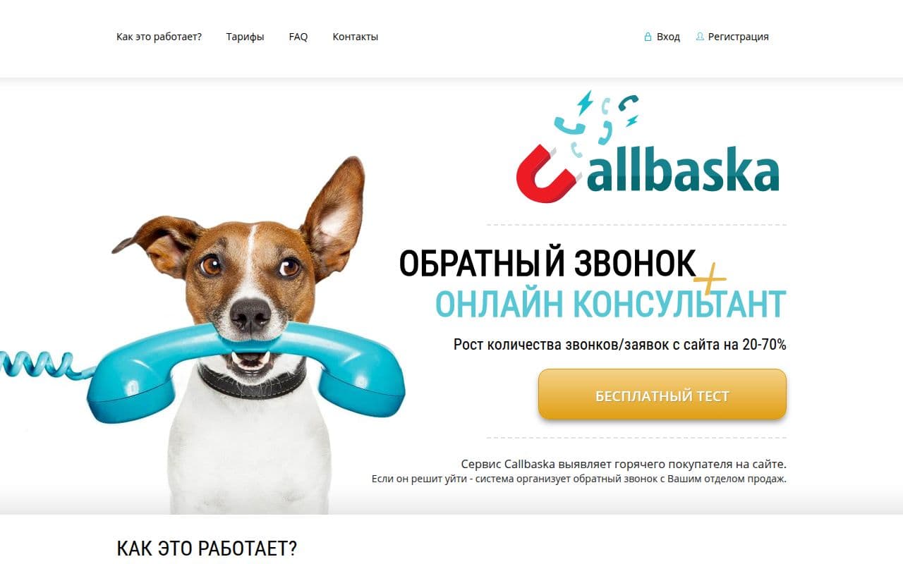 Скриншот интерфейса CallBaska