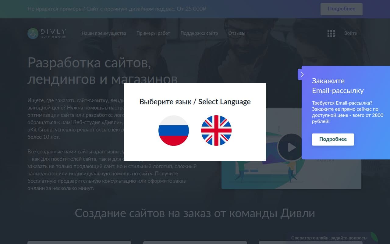 Скриншот интерфейса Divly