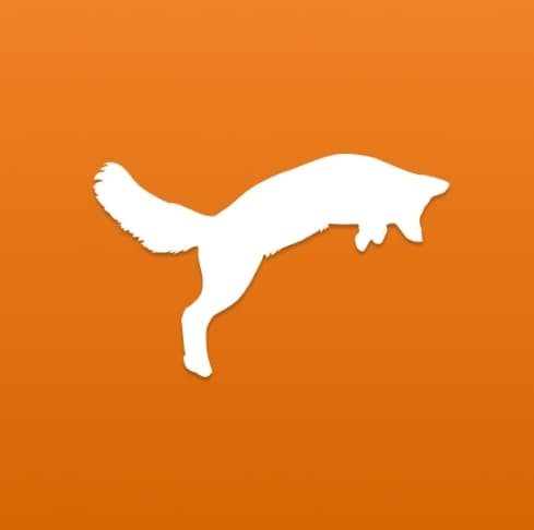 Скриншот интерфейса FastFox