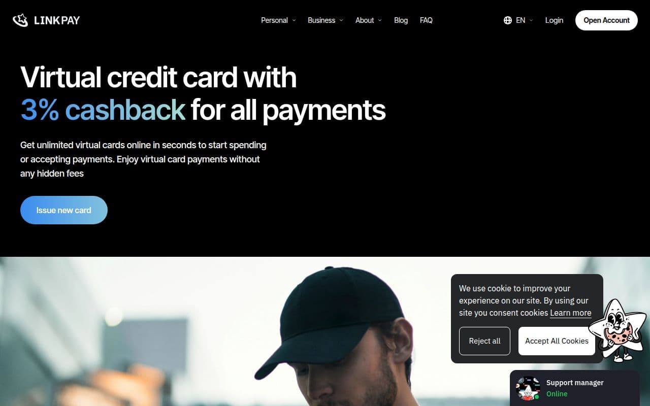 Скриншот интерфейса Linkpay