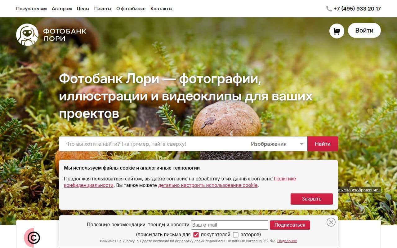 Скриншот интерфейса Lori