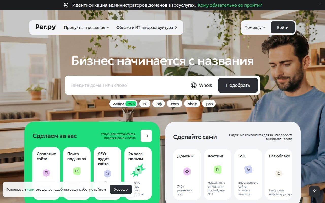 Скриншот интерфейса Рег.ру