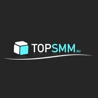 Скриншот интерфейса TopSMM