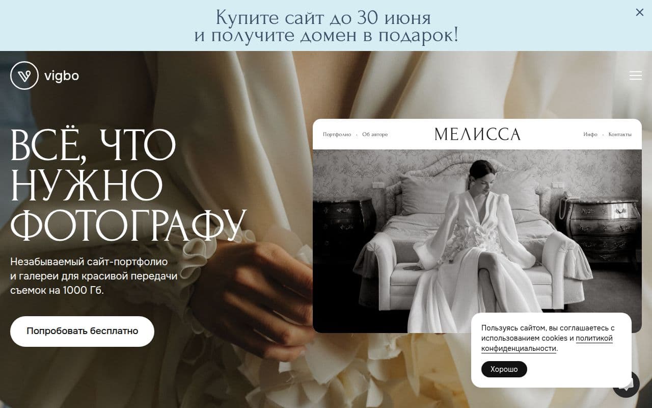 Скриншот интерфейса Vigbo