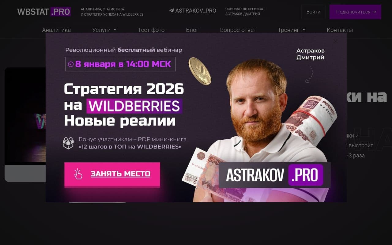 Скриншот интерфейса WBStat.PRO