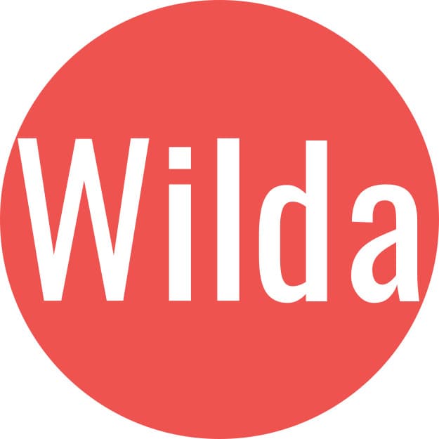 Скриншот интерфейса Wilda
